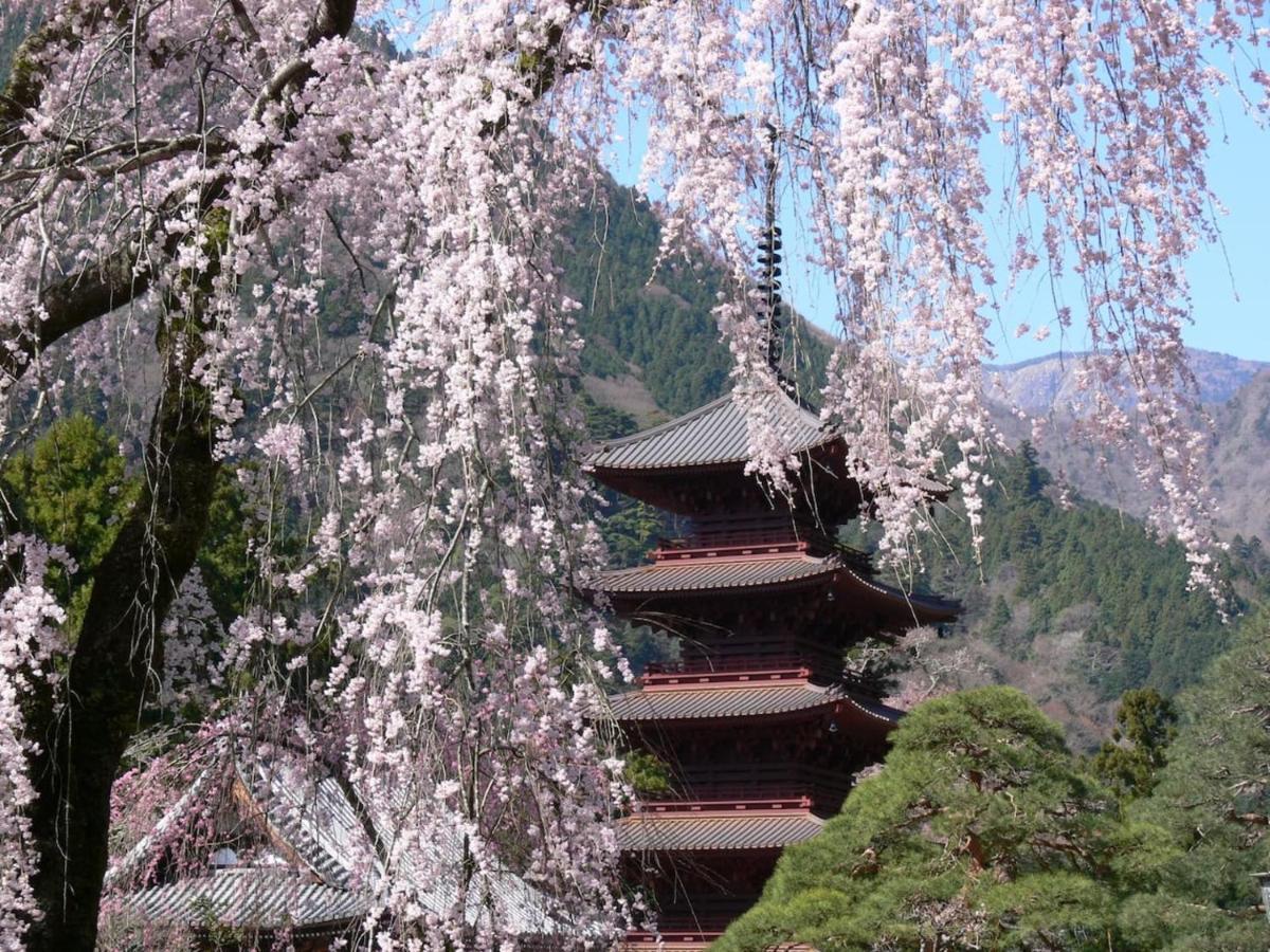 เทมเปิล โฮเต็ล ฮาบาโนโบะ Hotel Minobu ภายนอก รูปภาพ